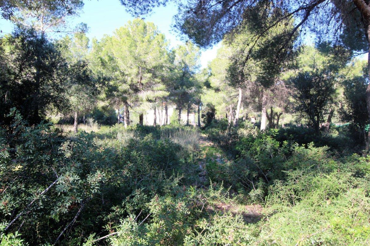 Plot for sale in Dénia