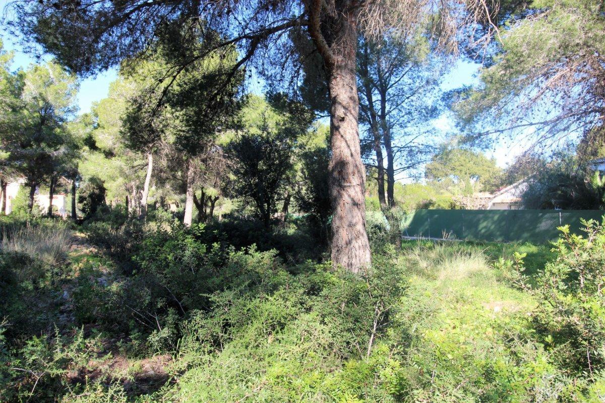 Plot for sale in Dénia